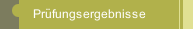  Prüfungsergebnisse